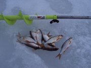 DSC05147.JPG