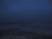 IMG_3868.JPG