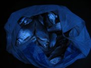 IMG_3874.JPG