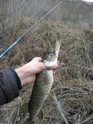 WP_000458.jpg