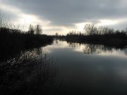 WP_000459.jpg