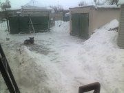 27-01-13_1048.jpg