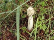 DSC04748.JPG