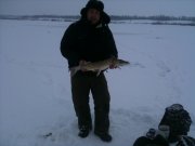 IMG_0175.jpg