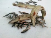 IMG_20130128_152711.jpg