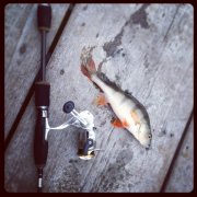 IMG_3294.jpg