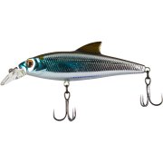 tsuribito_baby_shark_70_fsp_505.jpg