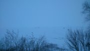 DSC_7801.jpg
