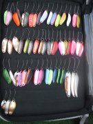 IMG_4034.JPG