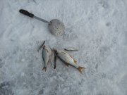 IMG_1259.JPG