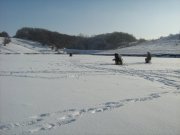 IMG_1276.JPG