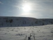 IMG_1281.JPG