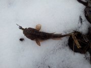 20130203_114201.jpg
