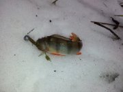 20130203_134735.jpg