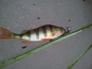 20130203_140126.jpg