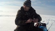 2013-02-02_11-32-11_783.jpg