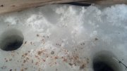 2013-02-02_12-18-57_742.jpg