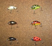 IMG_1330.JPG