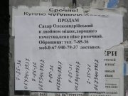 DSCN1108.JPG