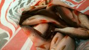 DSC_7852.jpg