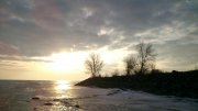 DSC_7863.jpg