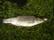 DSC00687.JPG