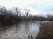 2013-02-08 09.49.44.jpg