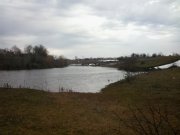 2013-02-08 09.51.07.jpg