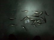 08022013214.jpg