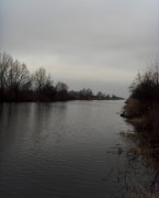 SDC19465s.jpg