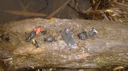 DSC04659.JPG