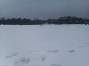 IMAG0874.jpg