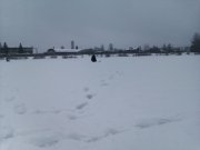 IMAG0875.jpg