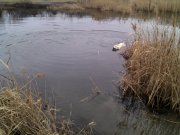 IMG_20130210_111959.jpg