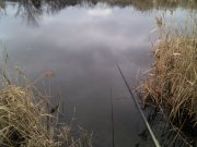IMG_20130210_114436.jpg