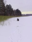 IMG_20130210_092948.jpg