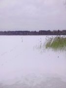 IMG_20130210_092934.jpg
