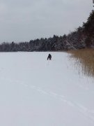IMG_20130210_093001.jpg