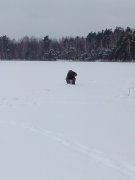 IMG_20130210_093032.jpg