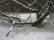 1-IMG_0002.JPG