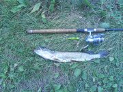 DSC00569.JPG