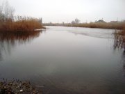 DSC08461.JPG