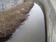 DSC08472.JPG