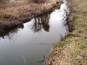 DSC08474.JPG