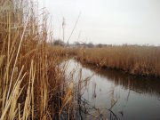 DSC08482.JPG