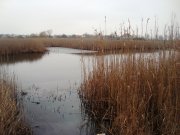 DSC08484.JPG