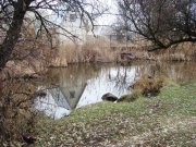 DSC08488.JPG