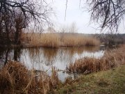 DSC08489.JPG