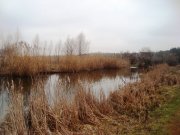 DSC08490.JPG