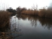 DSC08492.JPG